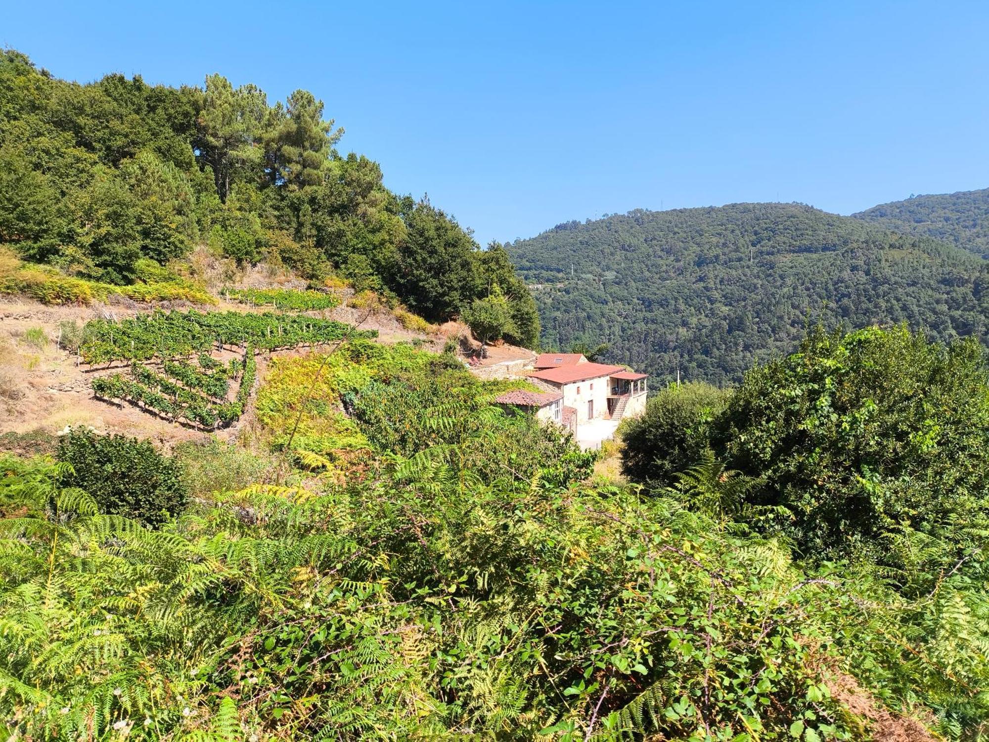 Villa Xiravai-Ribeira Sacra à Peares Extérieur photo