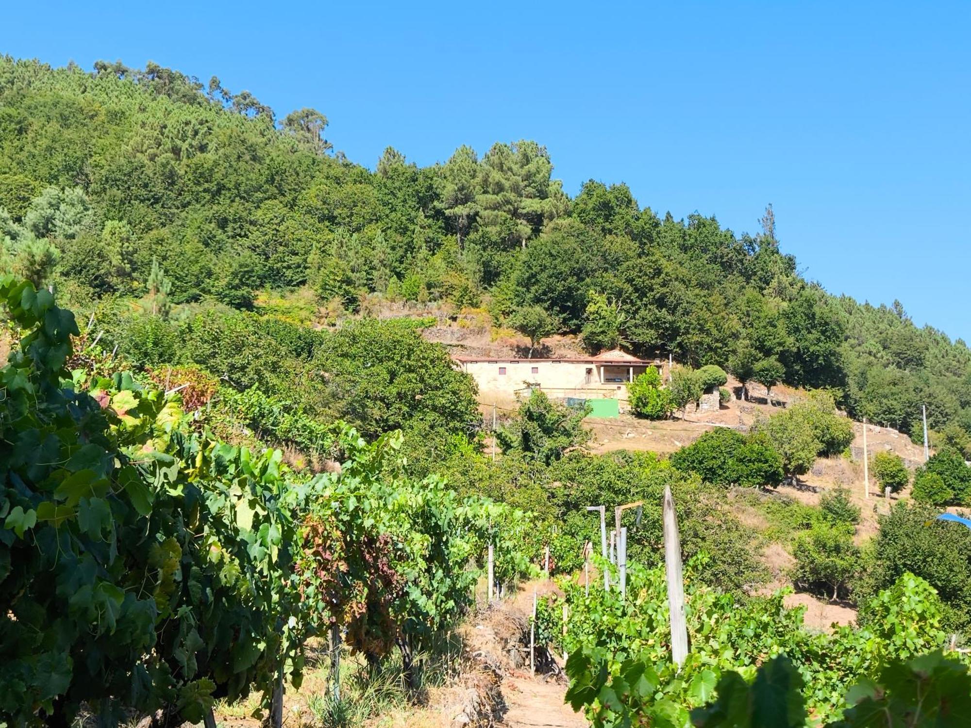 Villa Xiravai-Ribeira Sacra à Peares Extérieur photo